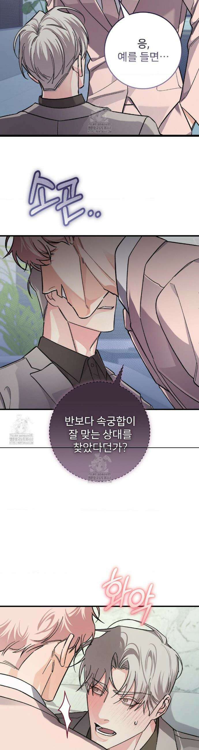 대표님이 취향입니다 12화 17