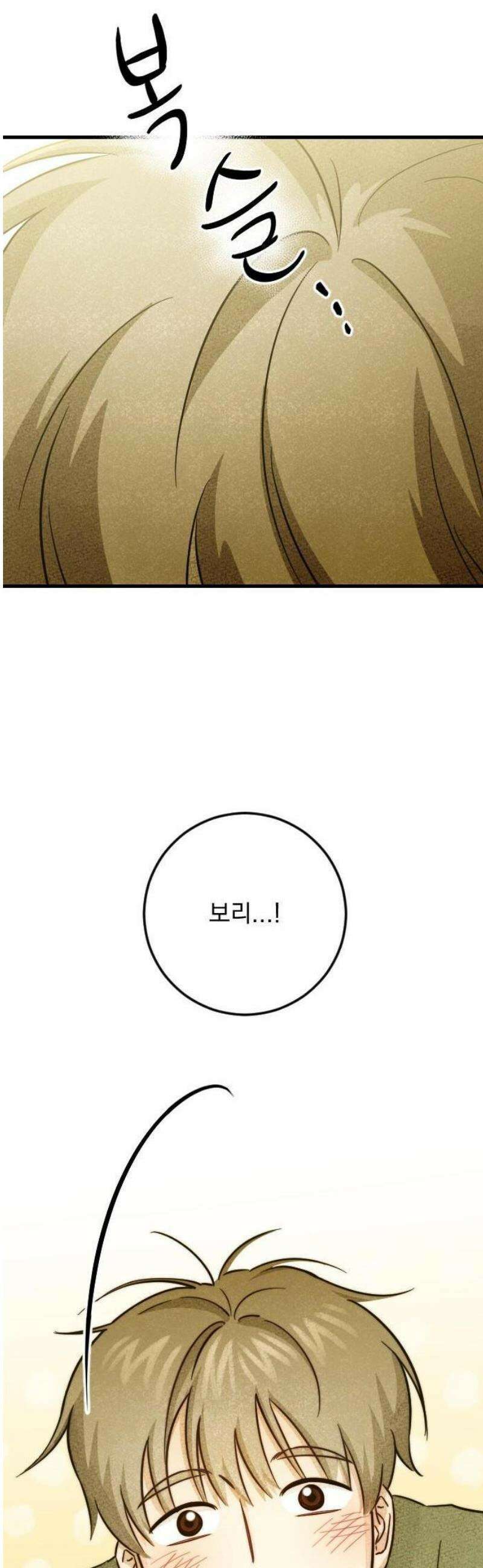 해가 드는 곳으로 3화 - 보리보리 쌀上 10