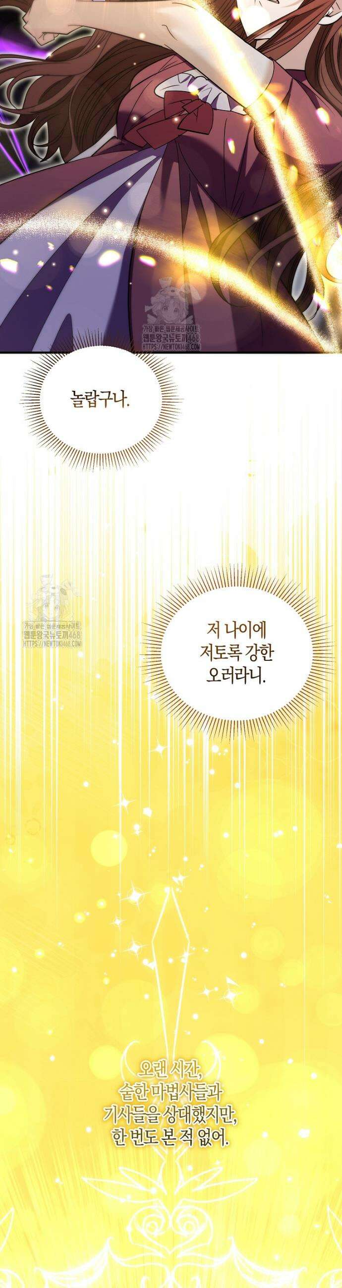 영웅은 됐어요, 은퇴라면 몰라도 81화 24