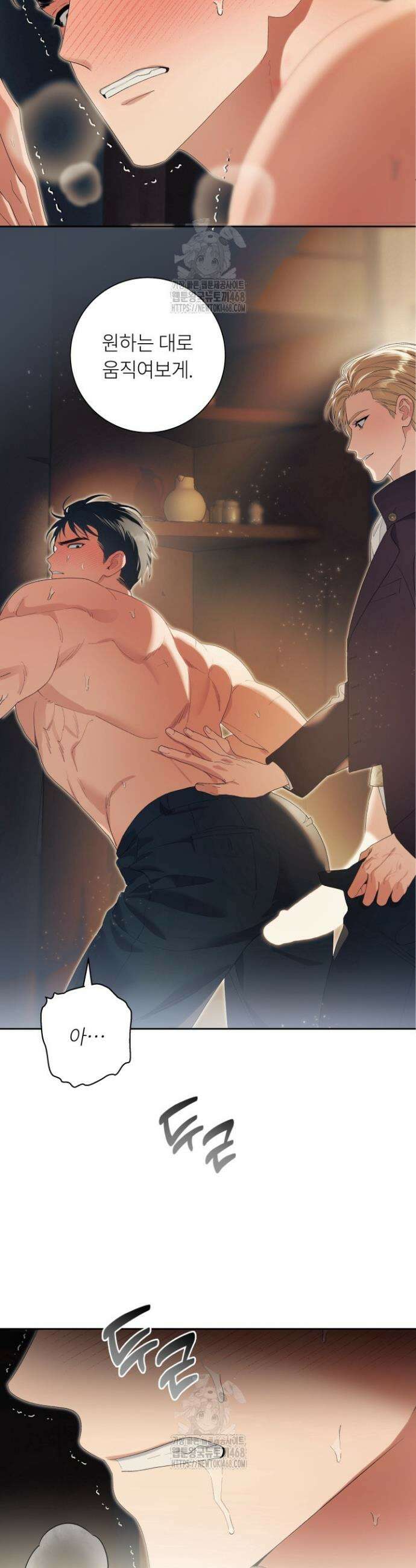 파테라 12화 2