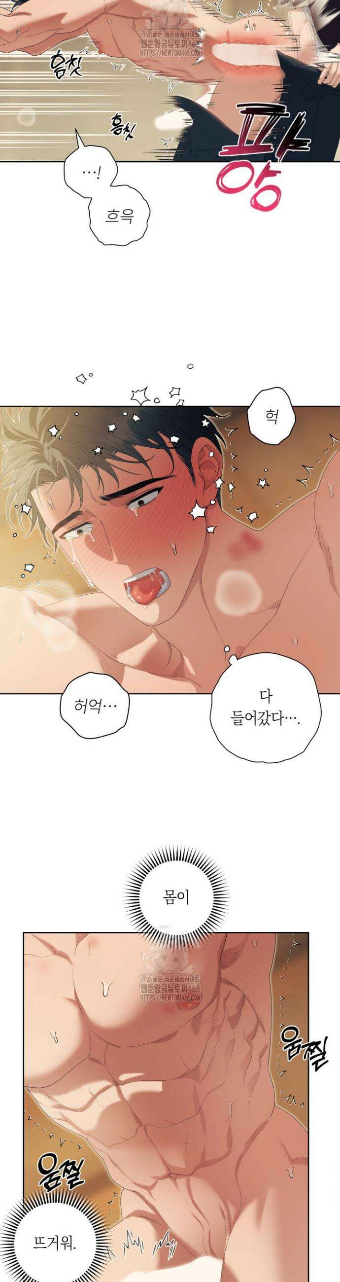 파테라 12화 6