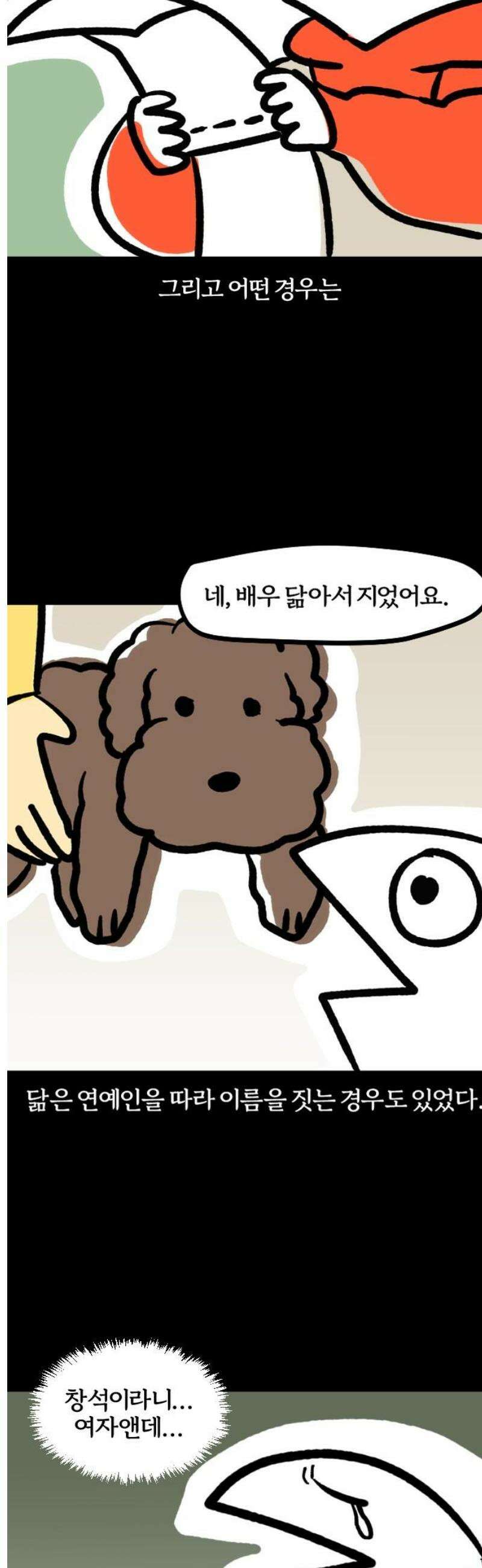 개집사 124화: 이름이 뭐야? 7