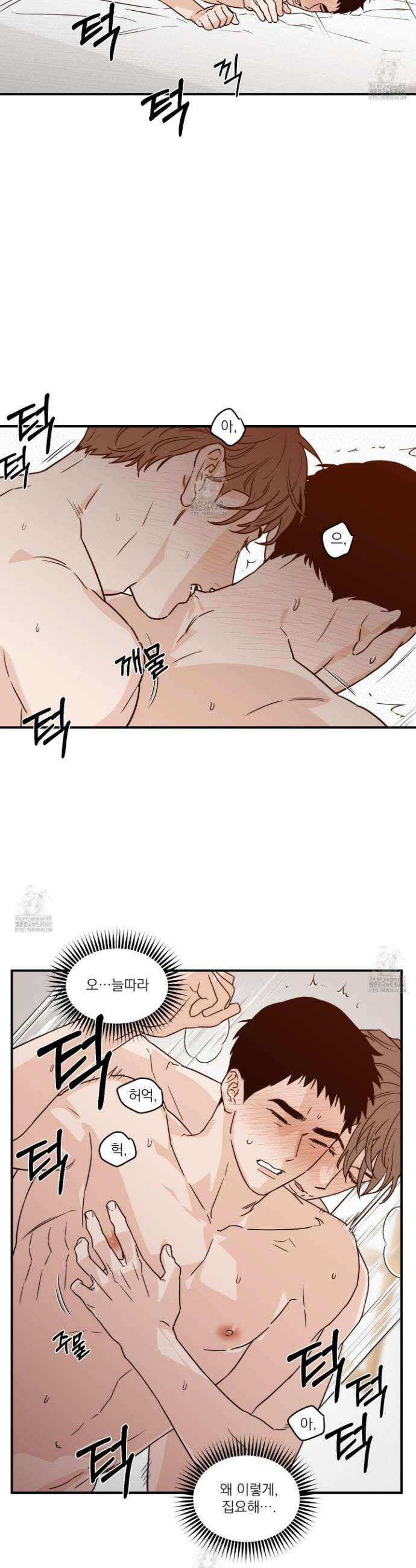 스쿠프 54화 2