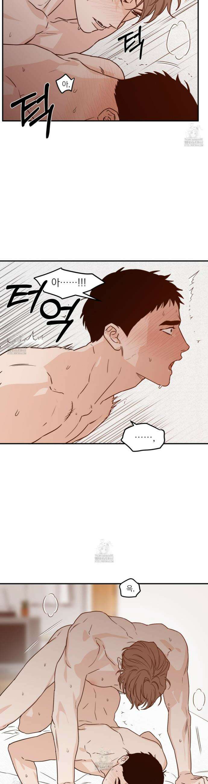 스쿠프 54화 4