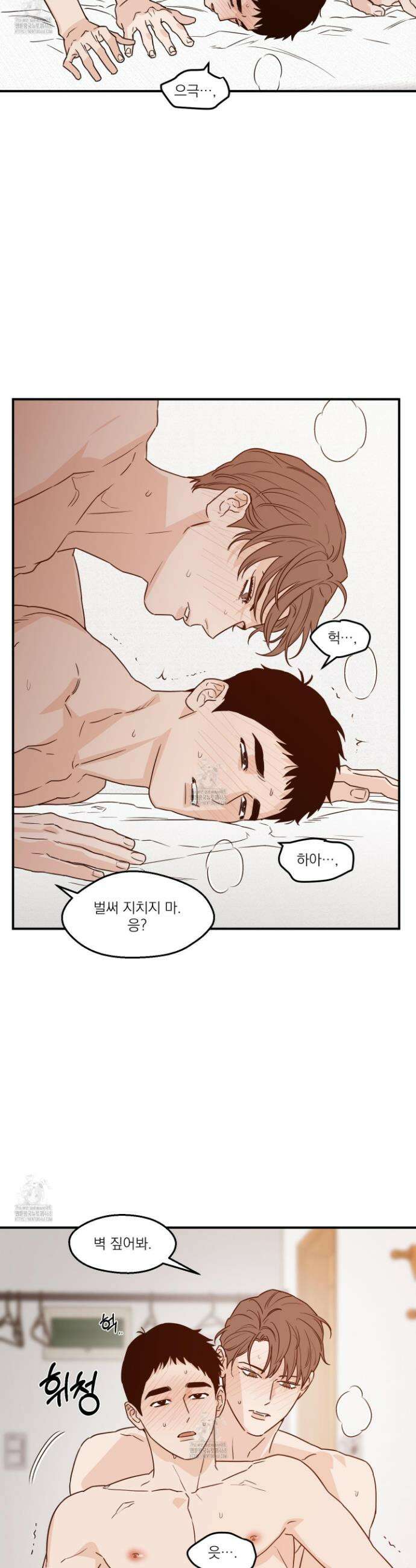 스쿠프 54화 5