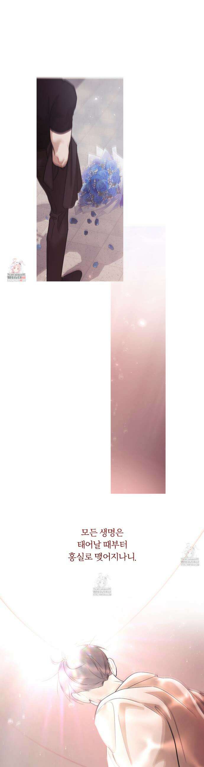 홍실퀘스트 31화 1