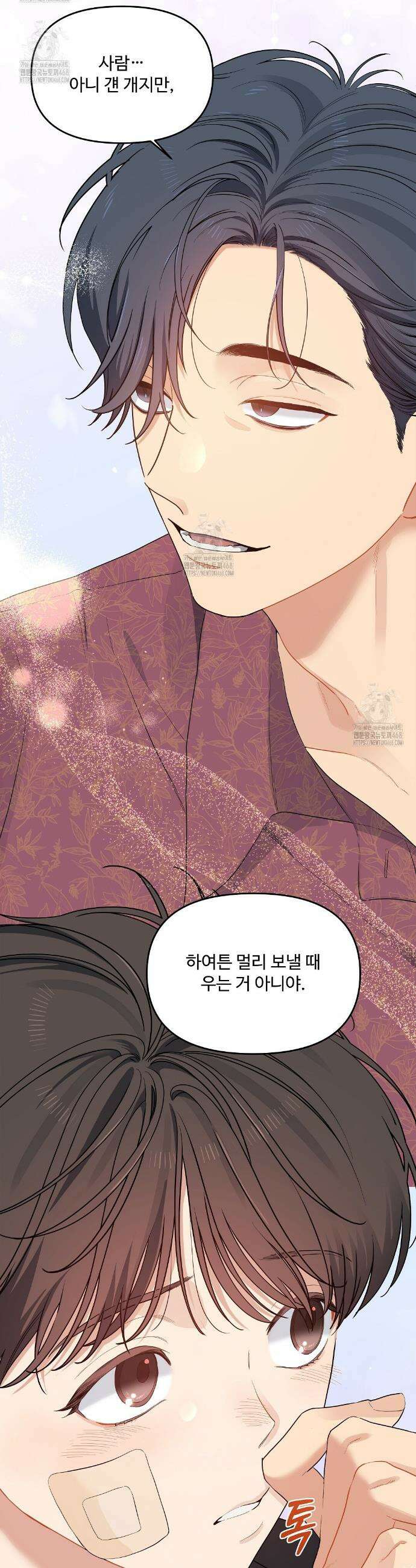 체리 케이크 36화 5