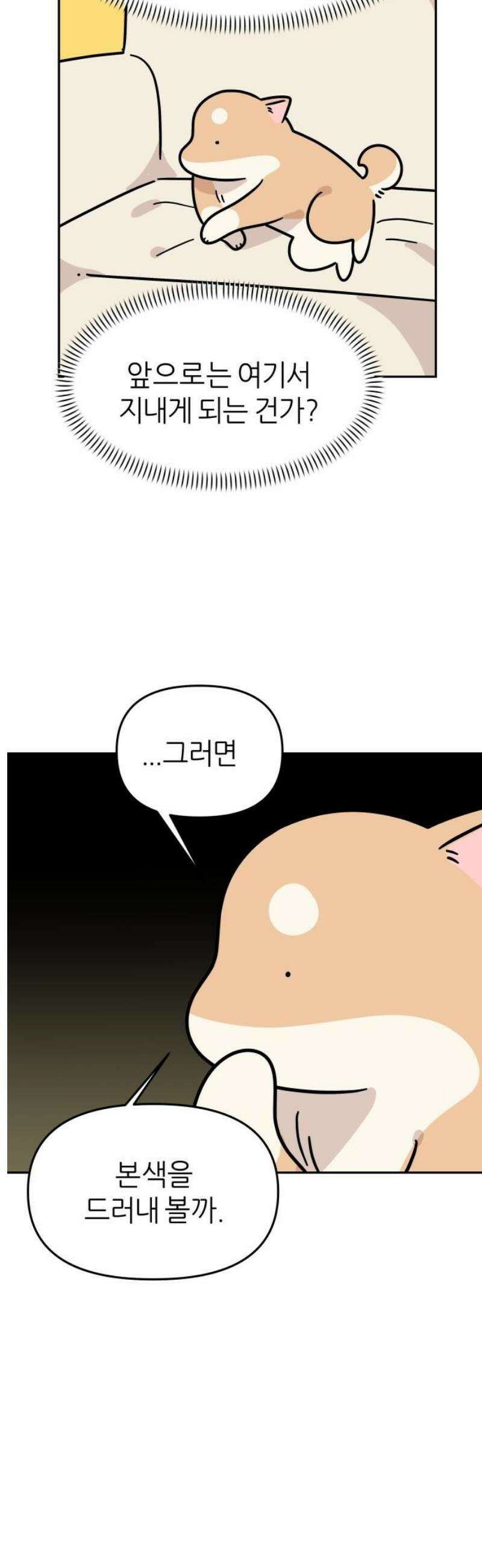 시바, 만만치 않다 68화 추억 여행 6