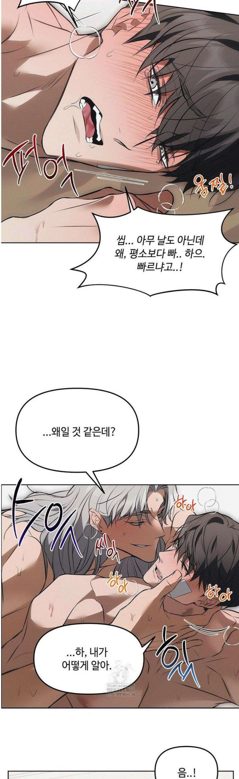 쥐덫 [BL] 5화 18