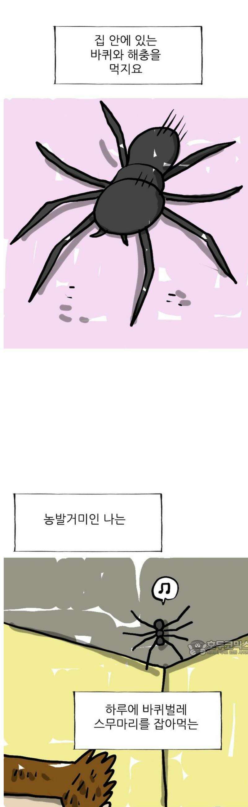 마음의소리(였던 것) 154화 농발거미 2