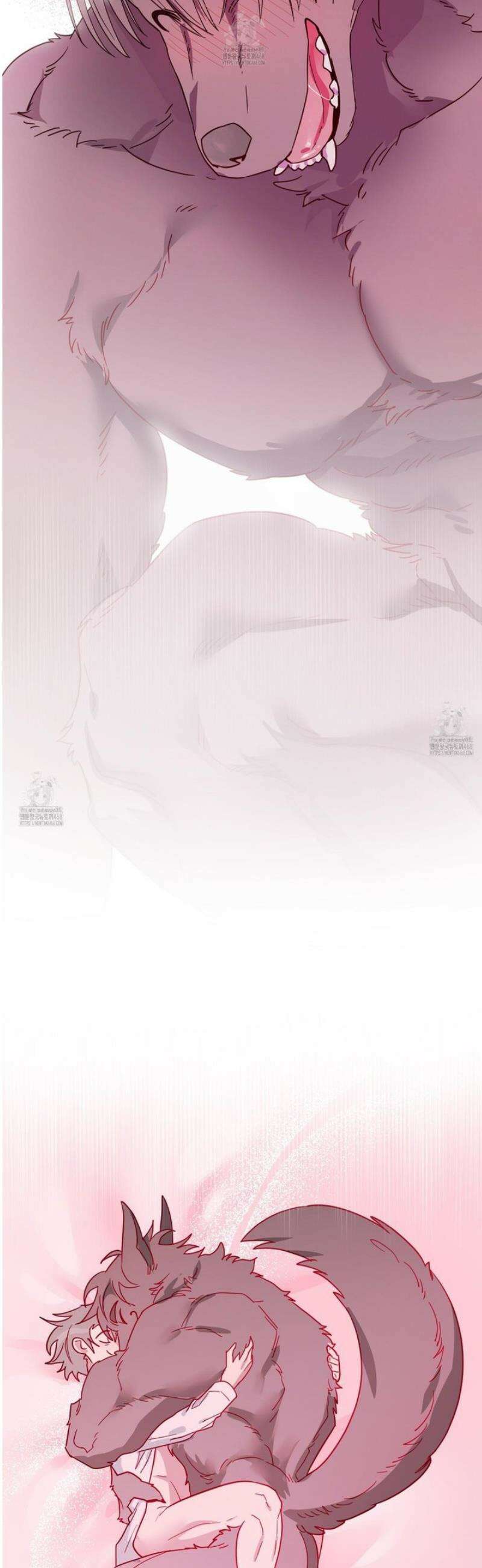 안돼요! 몰라요? 사실 알아요?! 53화 [완결] 43