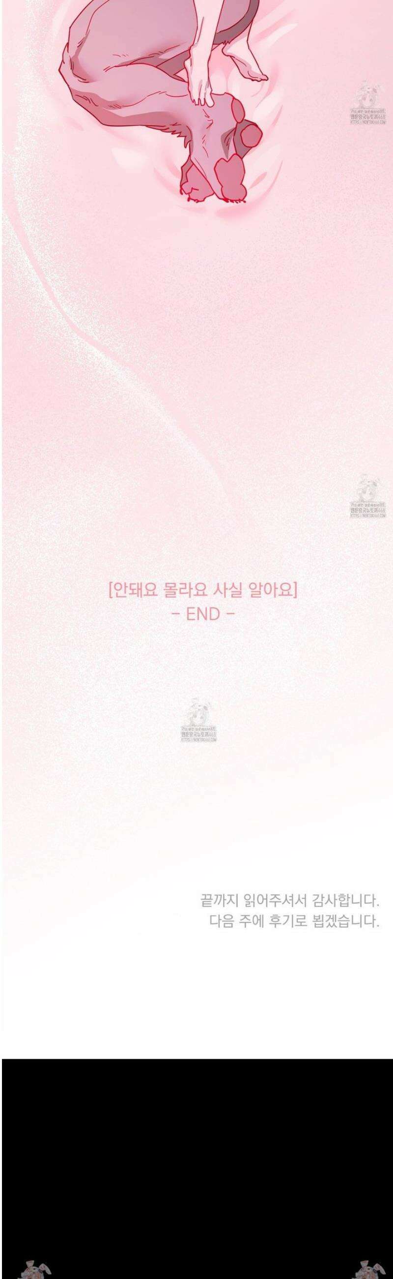 안돼요! 몰라요? 사실 알아요?! 53화 [완결] 44