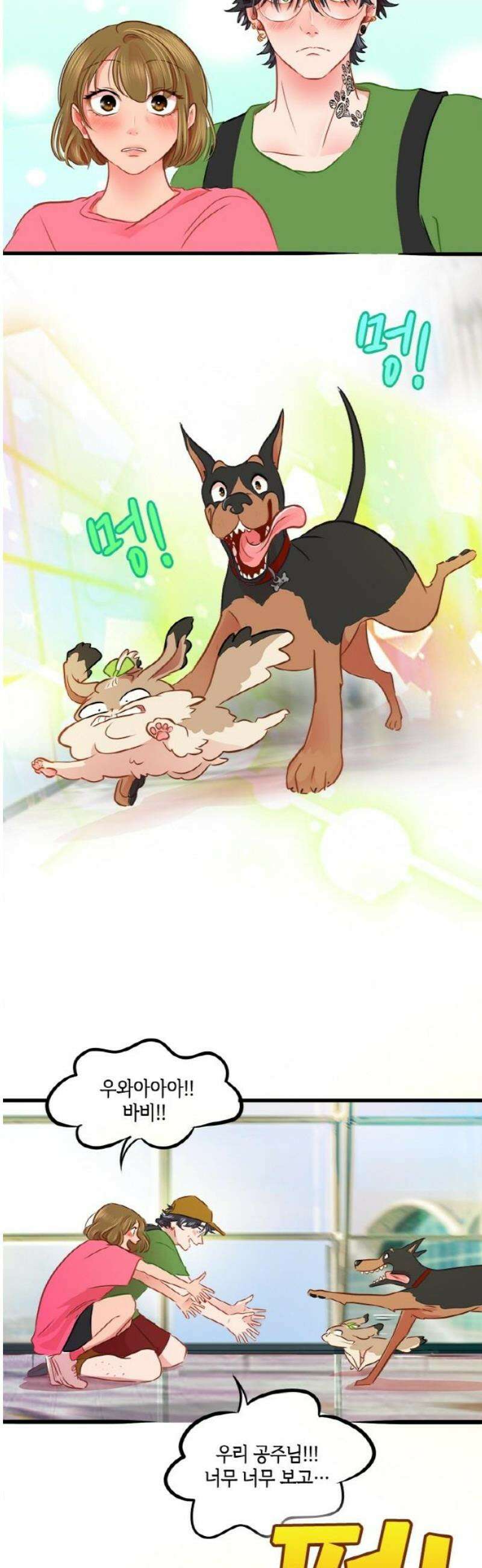 너랑 걷는 개 좋아 37화 25