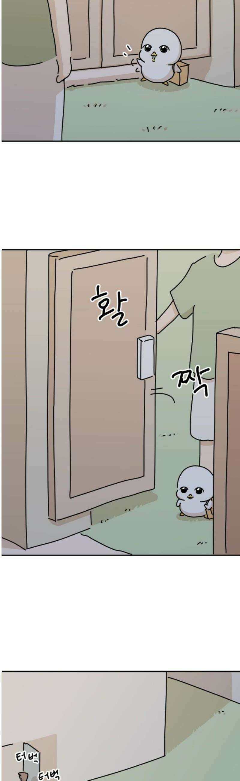 오리짱! 5화 함께 살게 되기까지(5) 40