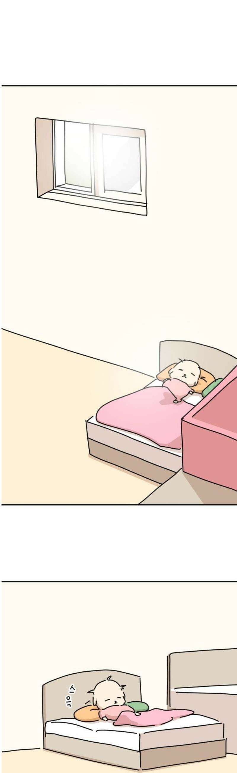 오리짱! 5화 함께 살게 되기까지(5) 42