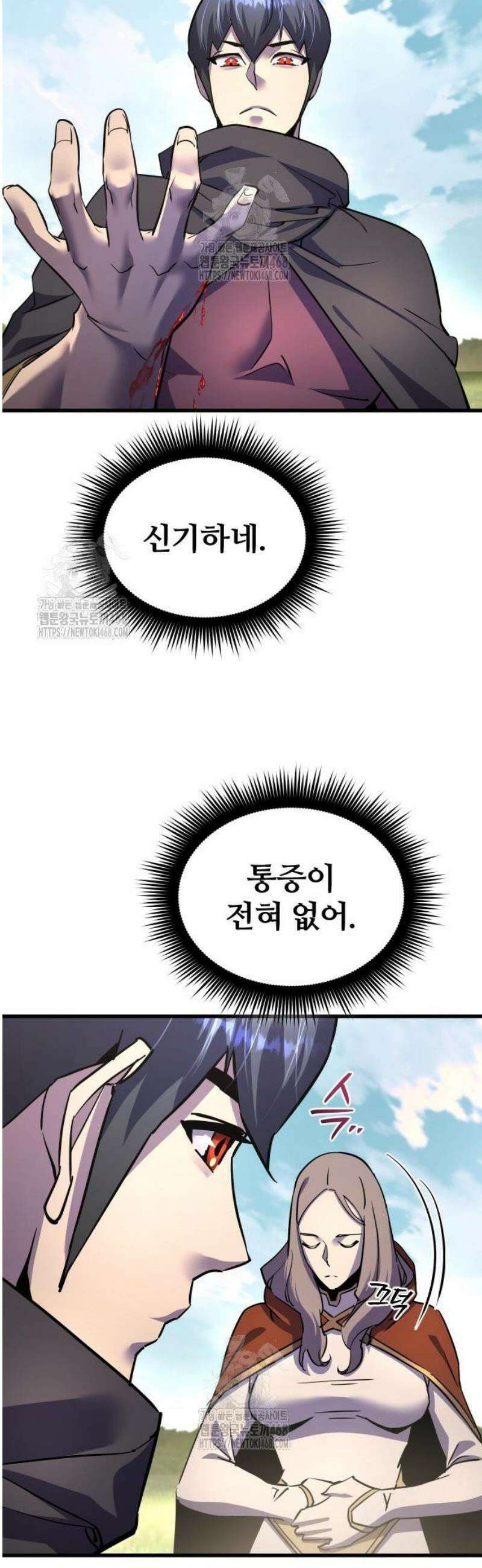 주먹 쓰는 천재 마법사 40화 13
