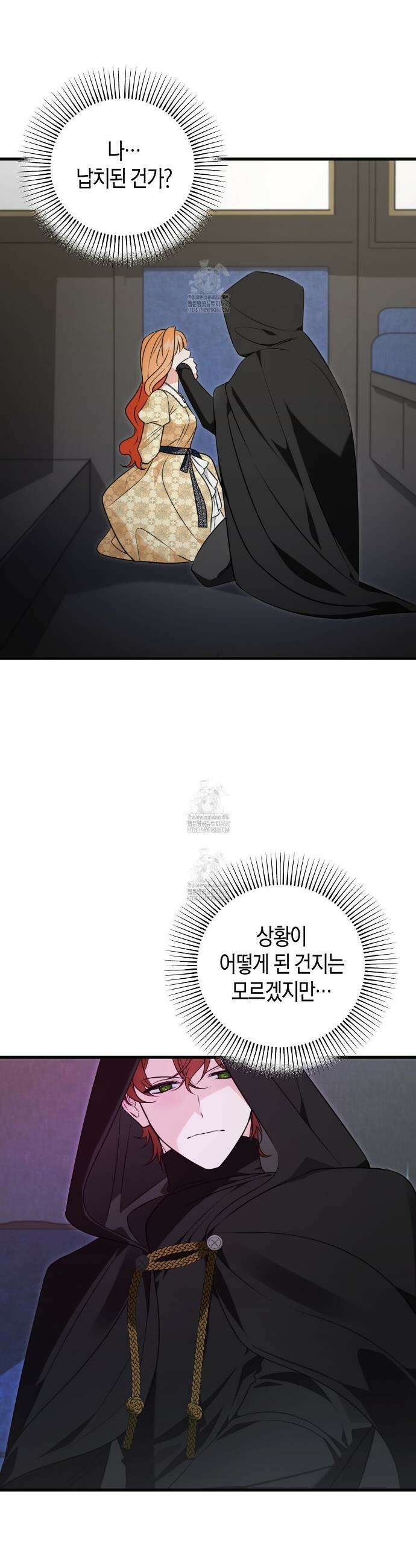 결혼 말고, 파산하고 싶습니다 42화 5