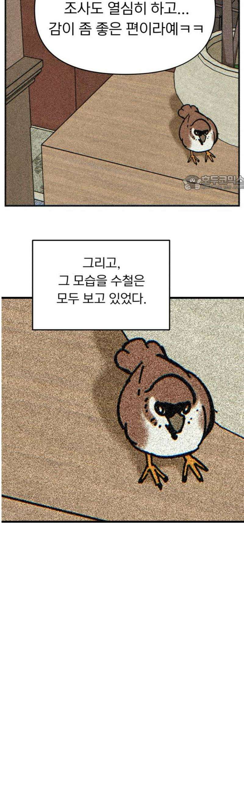성북구 비둘기 이헌서 55화) 참새 수철(3) 9