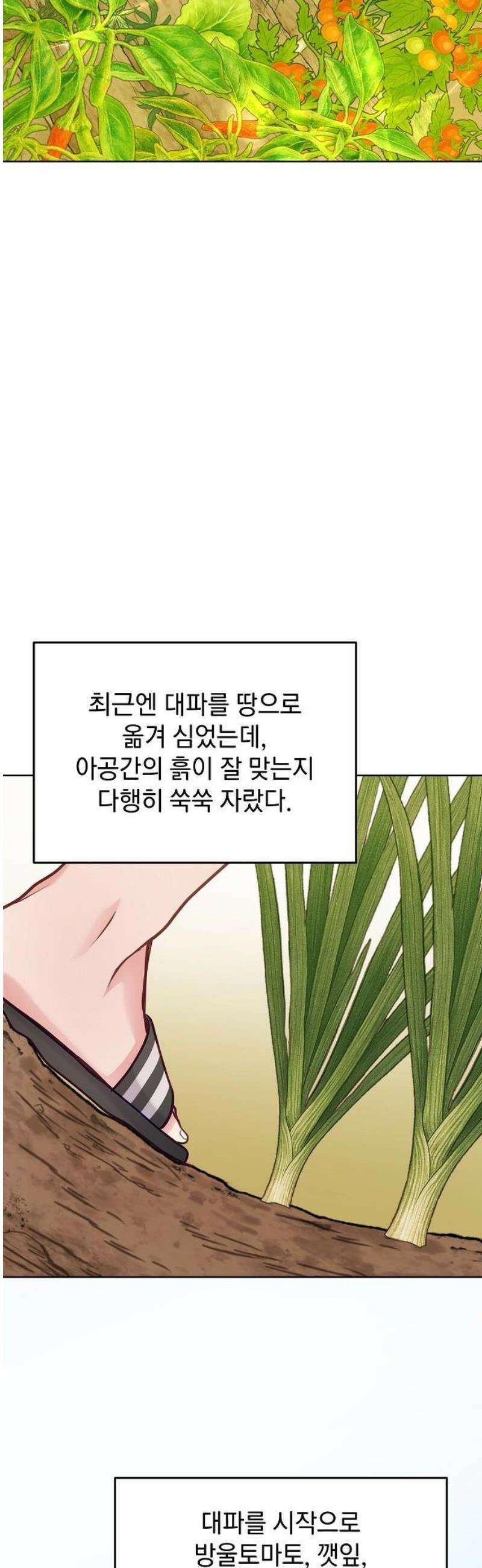 범상한 변호사의 아공간 22화 3