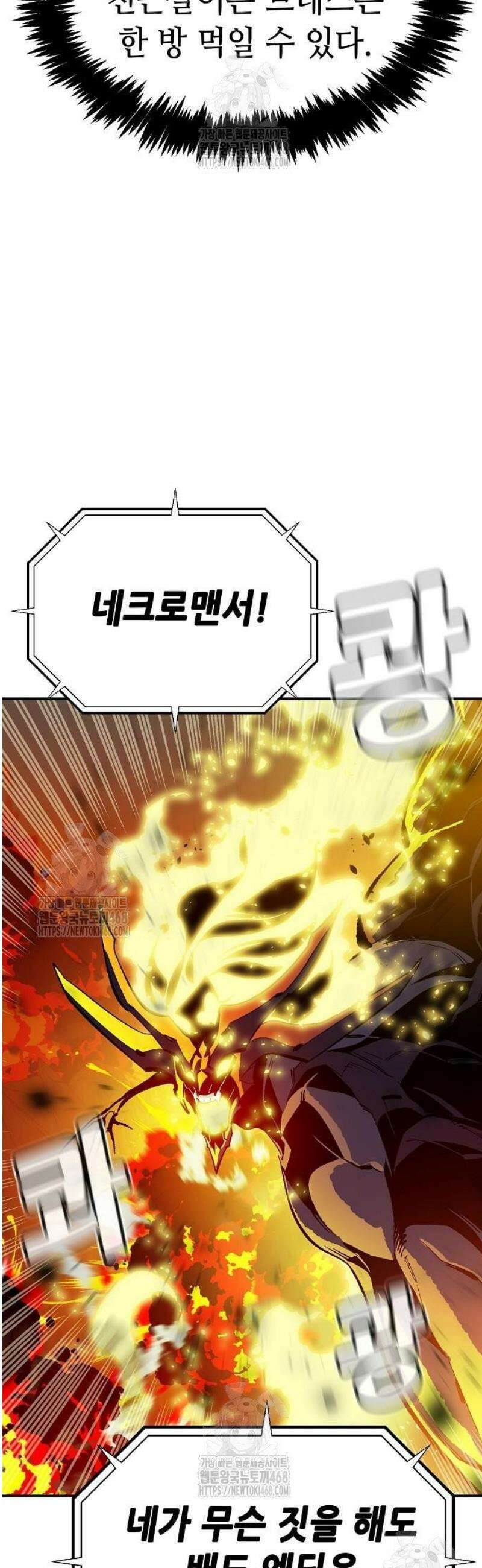 나 혼자 네크로맨서 204화 - 마왕과 용사와 무당 - 2 55