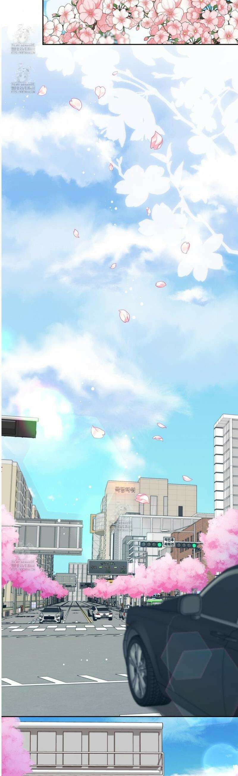 인과응보 21화 2