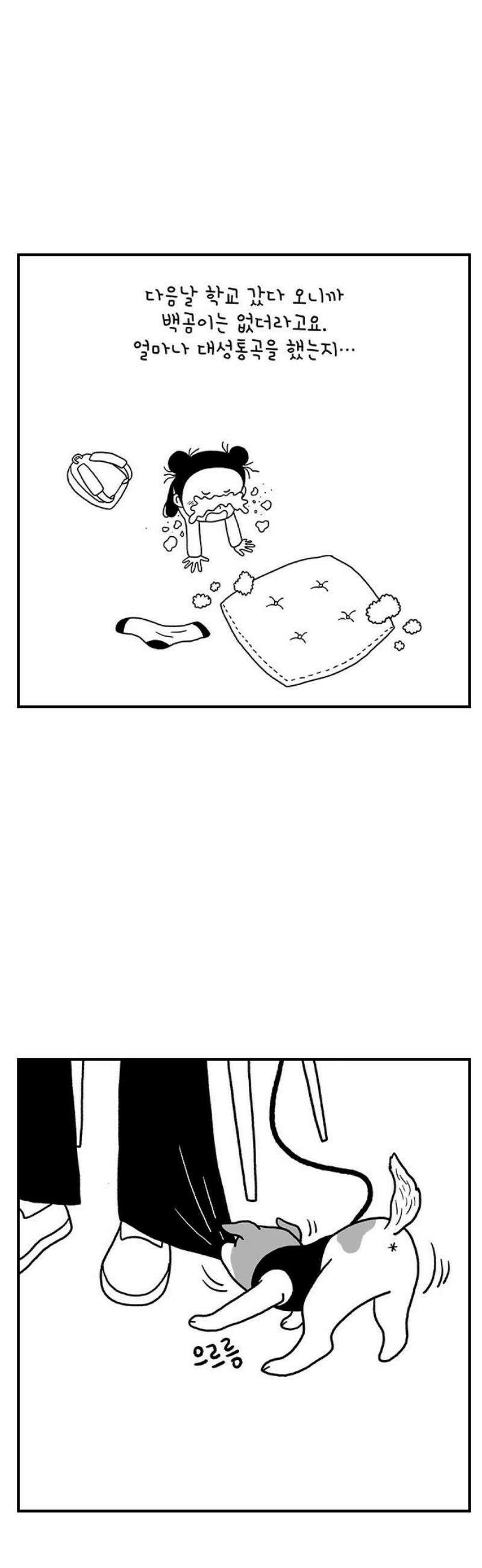 펫로스클럽 ＃7． 고수정 씨의 경우 6