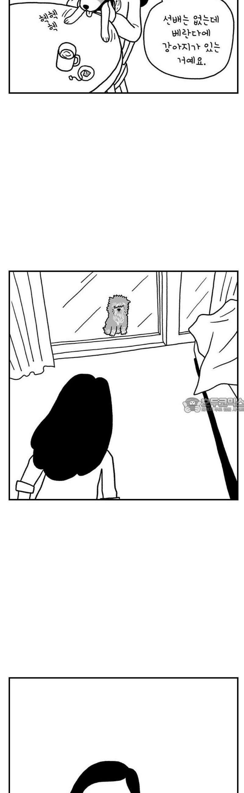 펫로스클럽 ＃7． 고수정 씨의 경우 13