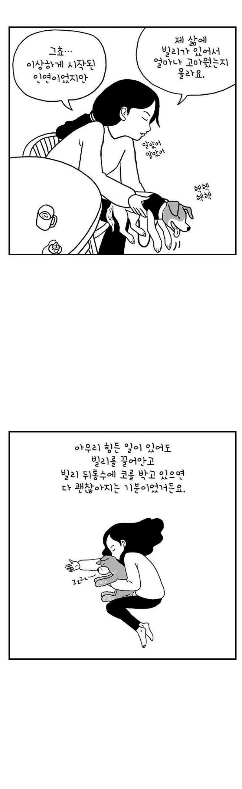 펫로스클럽 ＃7． 고수정 씨의 경우 21