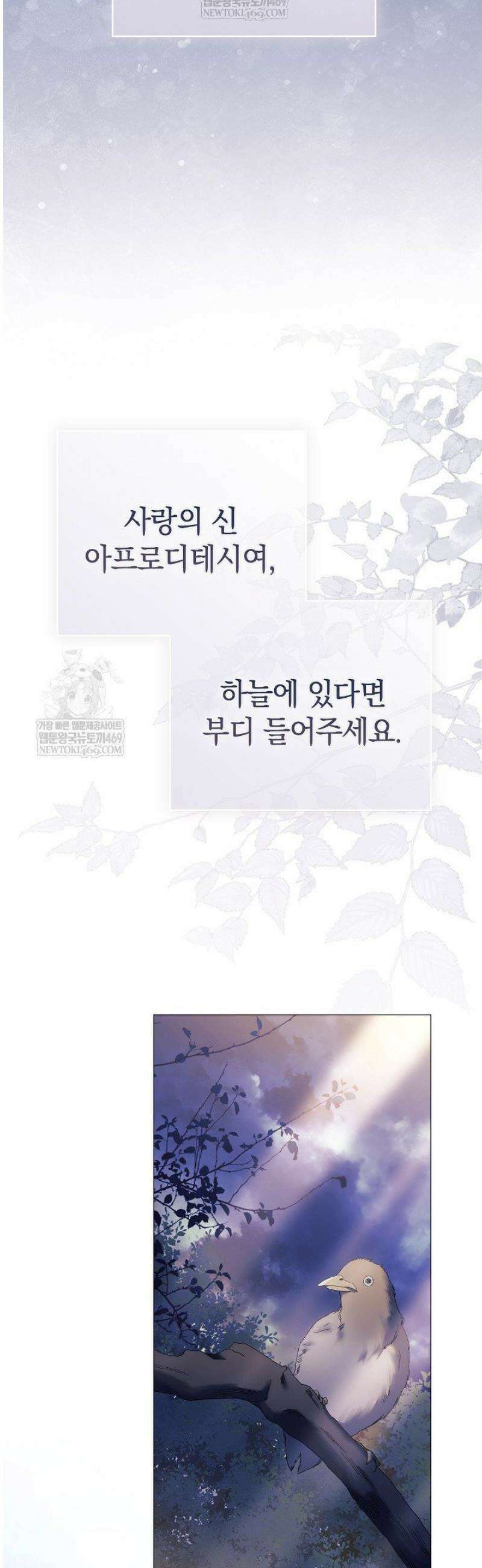 여신들을 위하여 : 다프네를 위하여 4화 52