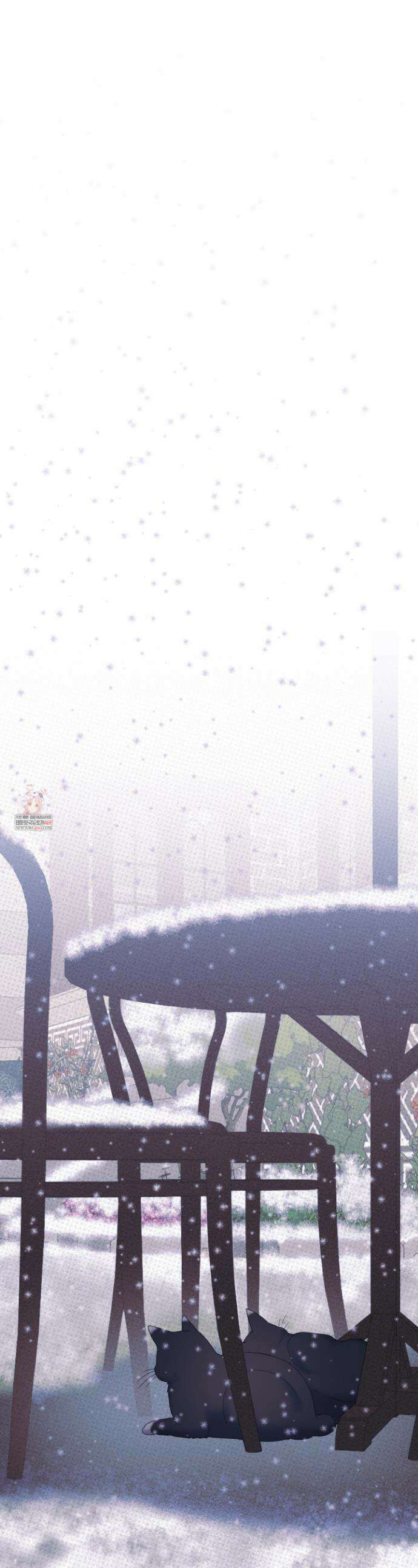 플레이룸 6화 1