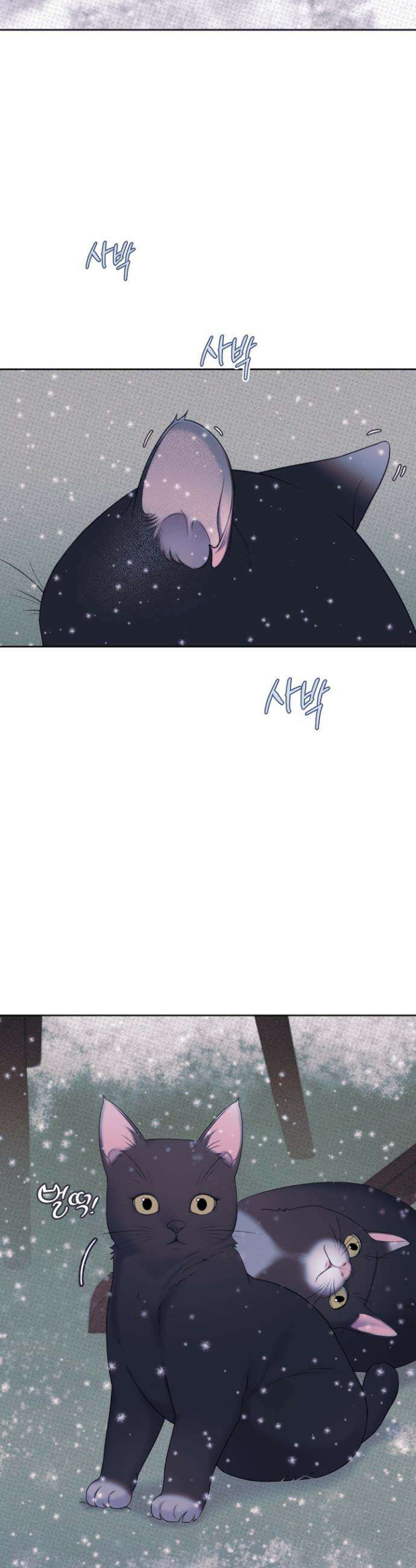 플레이룸 6화 2