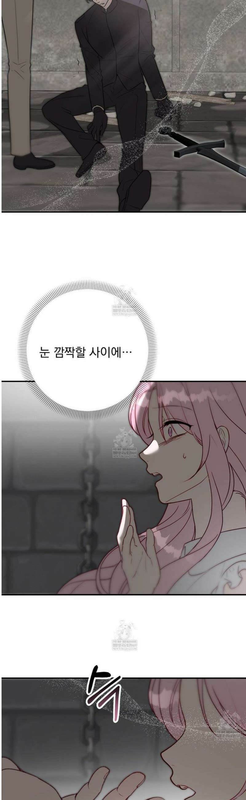 공작가의 보물을 훔쳐 달아나면 5화 [완결] 6