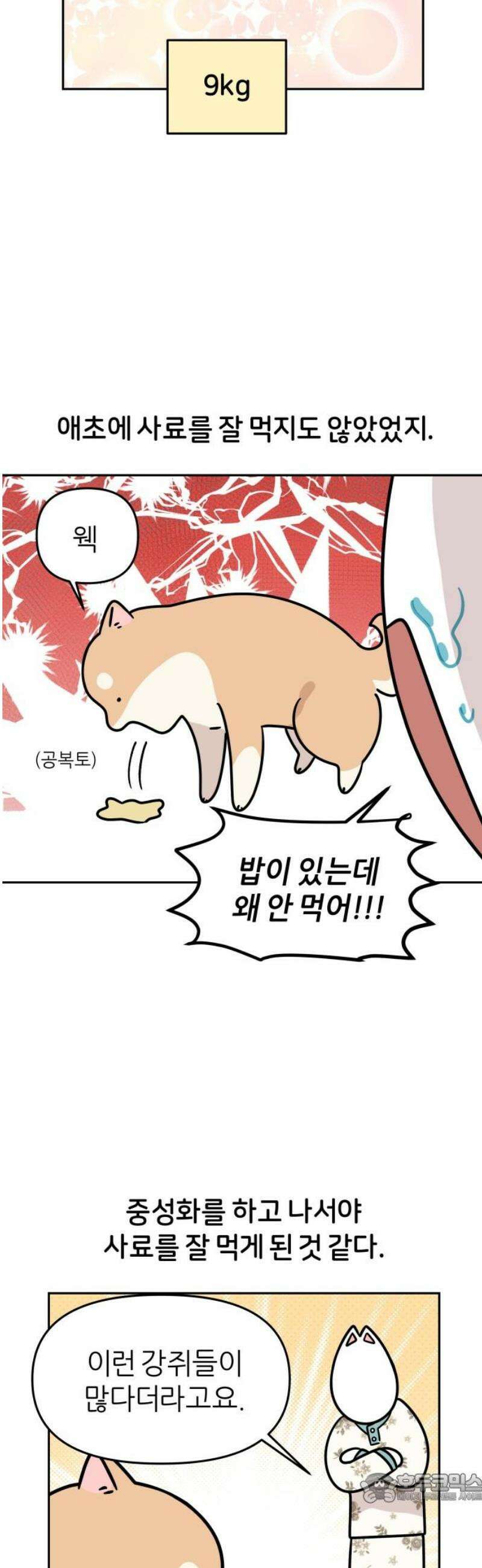 시바, 만만치 않다 71화 다이어트 4