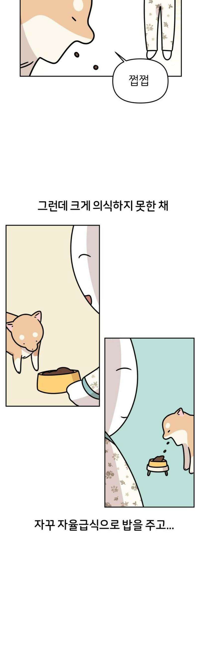 시바, 만만치 않다 71화 다이어트 5
