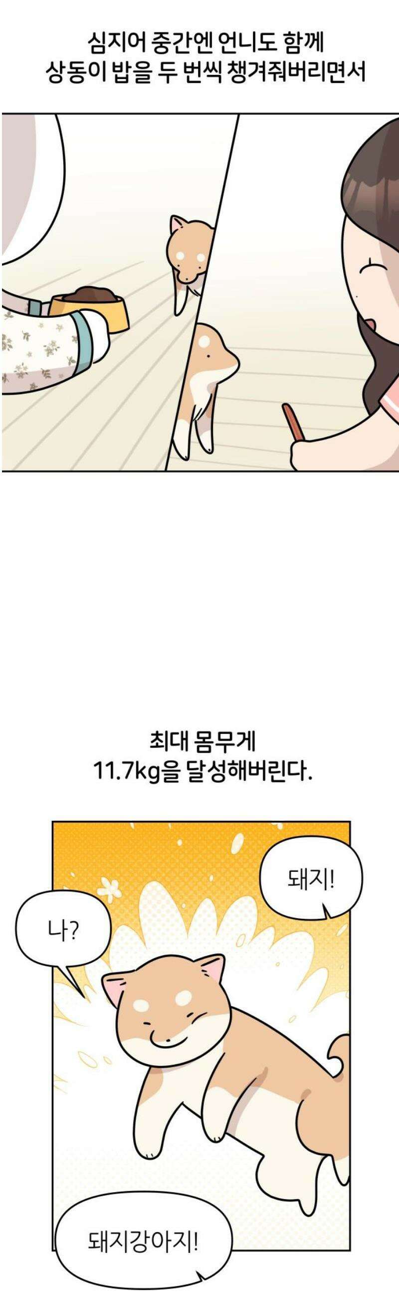 시바, 만만치 않다 71화 다이어트 6