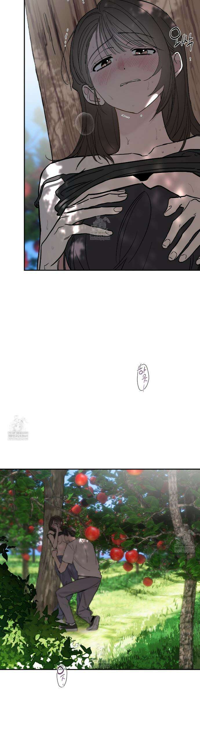 과수원의 사정 1화 4