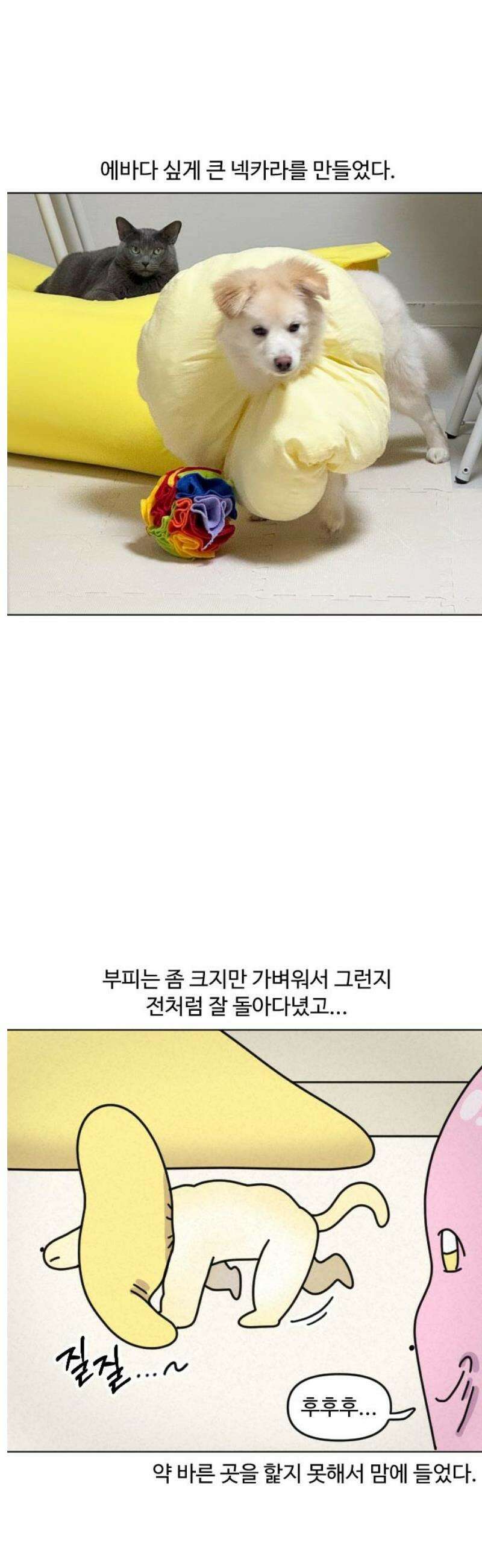 쌉초의 난 169화 중성 힝초2 5