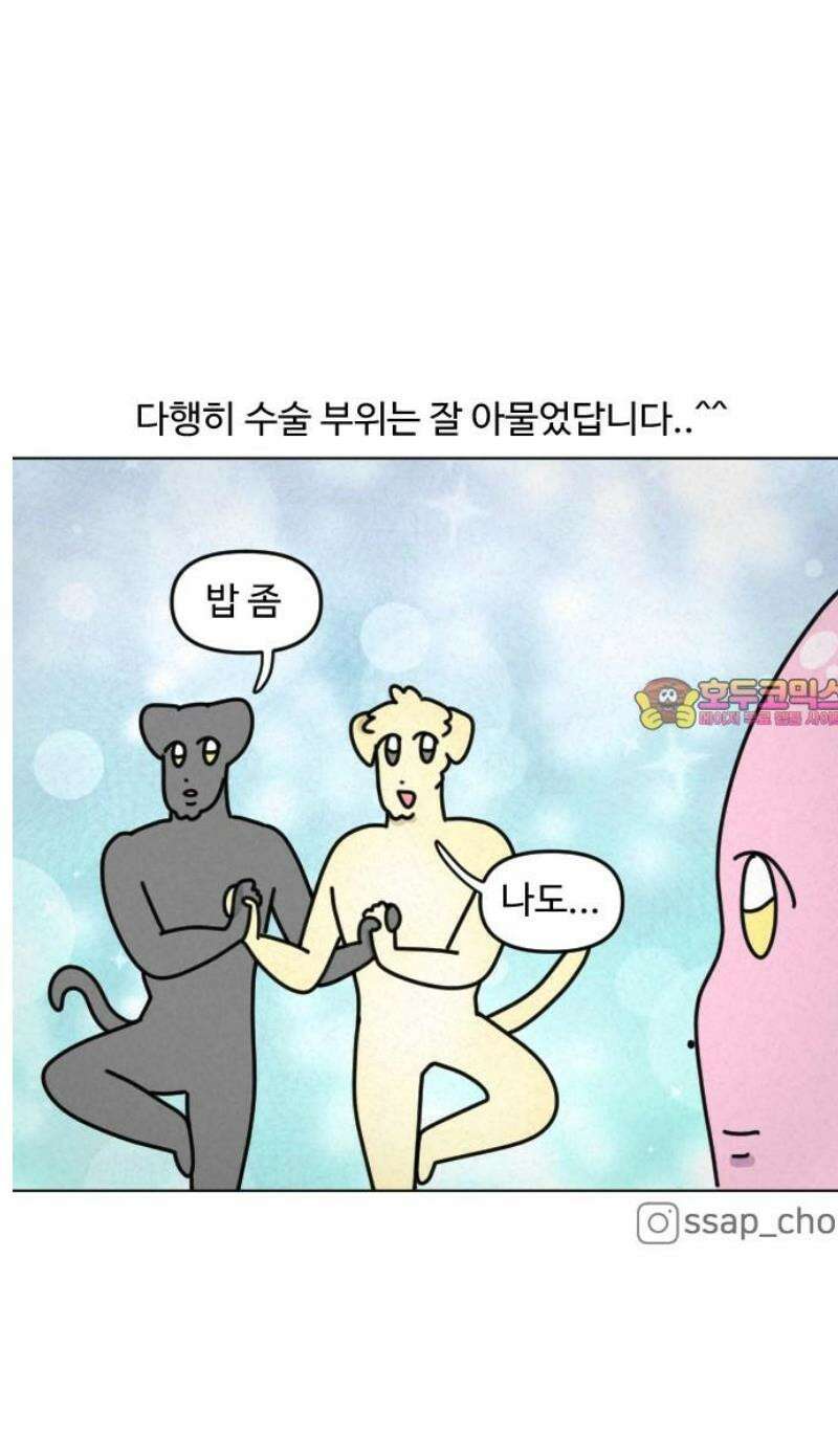 쌉초의 난 169화 중성 힝초2 14