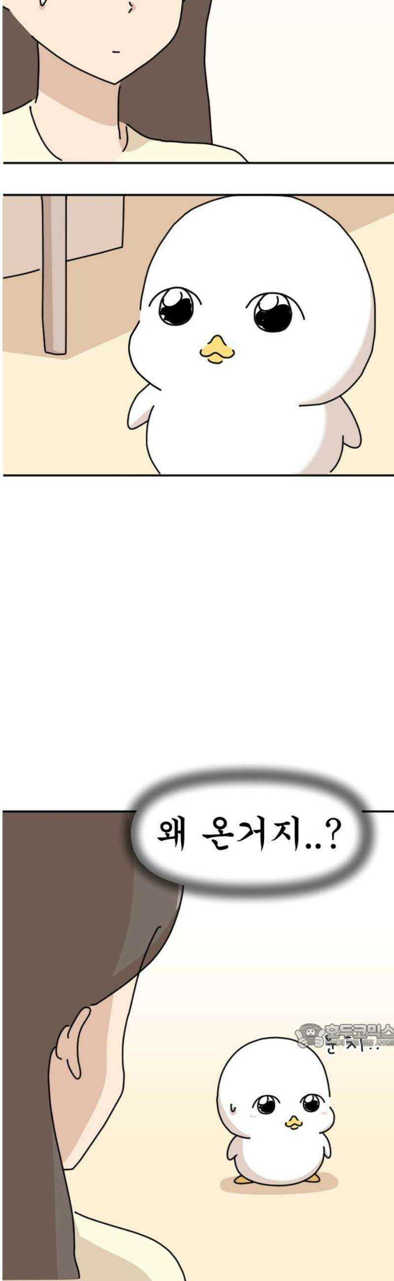 오리짱! 8화 함께 살게 되기까지(8) 2