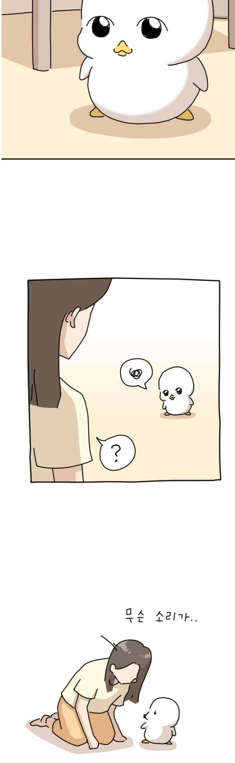 오리짱! 8화 함께 살게 되기까지(8) 5