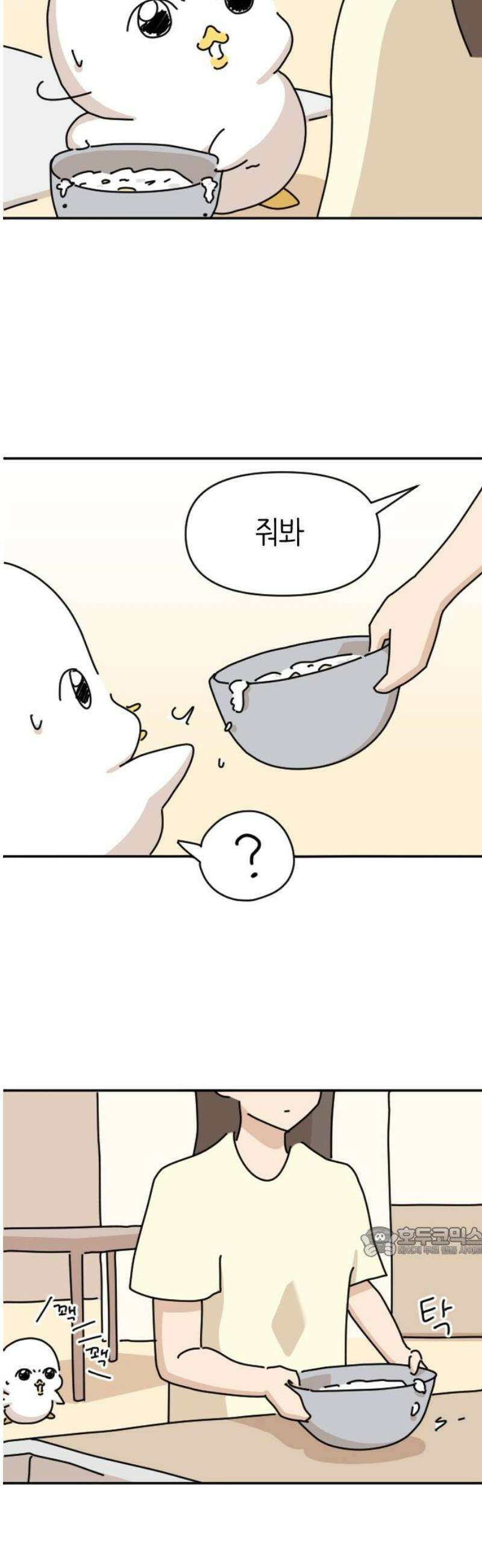 오리짱! 8화 함께 살게 되기까지(8) 17
