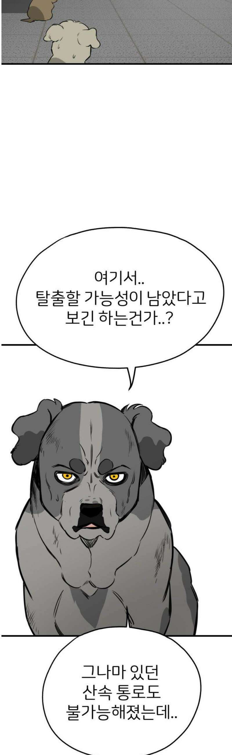 개같이 탈출 시즌2 2화 46