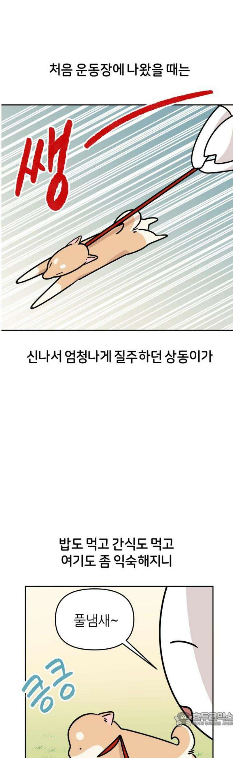 시바, 만만치 않다 73화 펜션에 놀러 가요 (2) 4