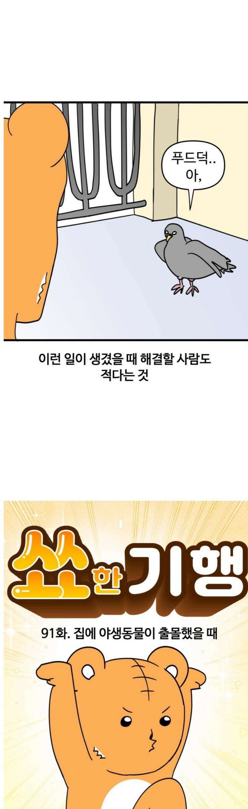 소소한 기행 91화． 집에 야생동물이 출몰했을 때-1 3