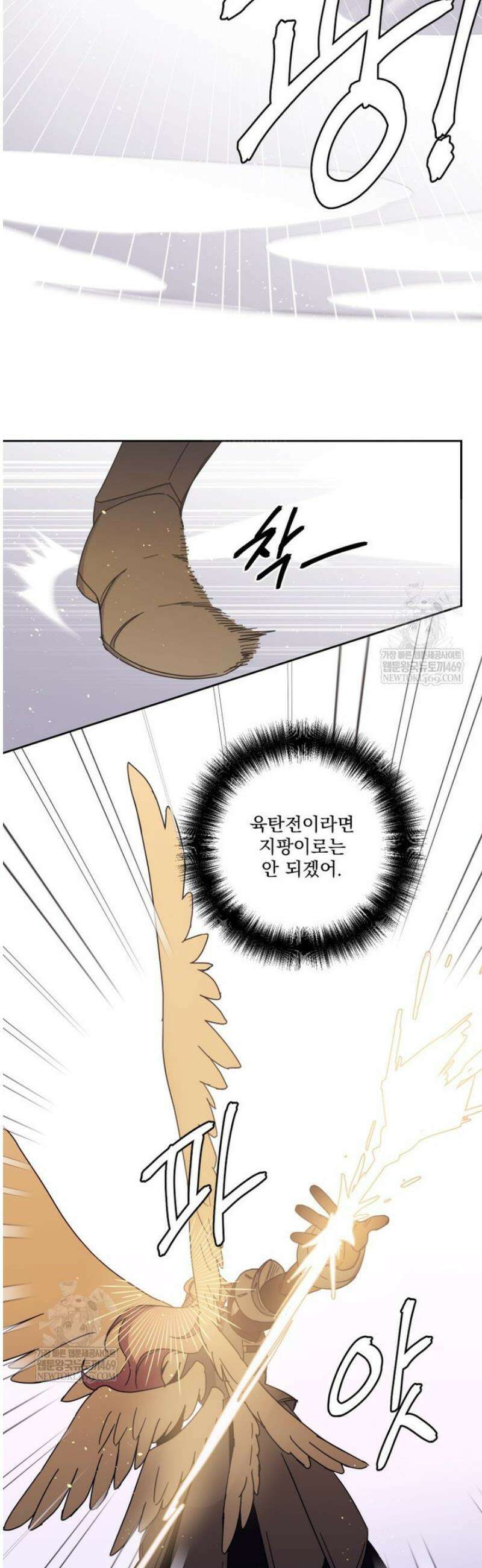 치트라 262화 2