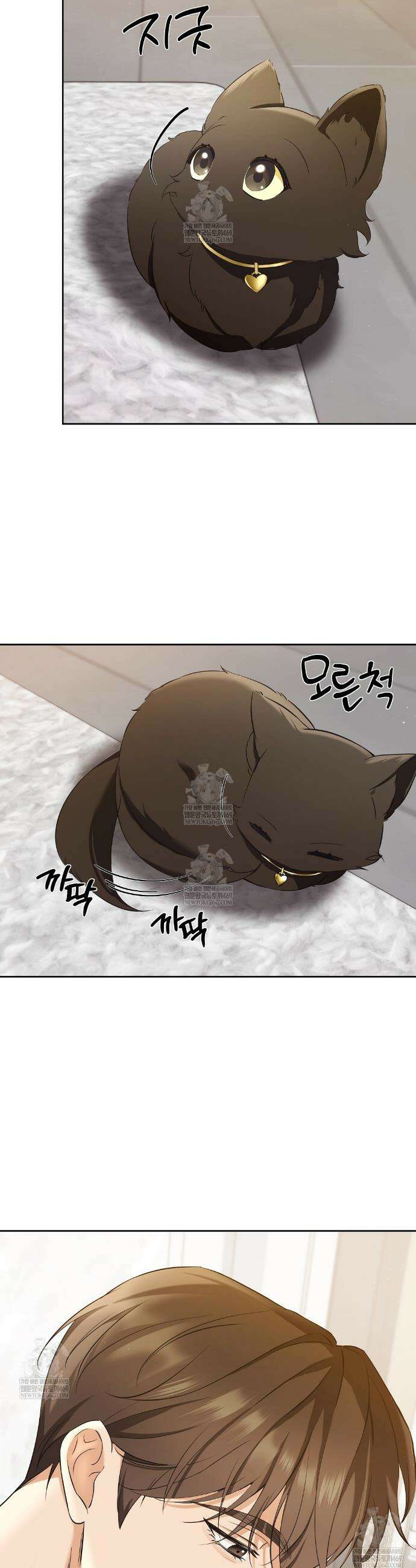 고양이 테라피 3화 3
