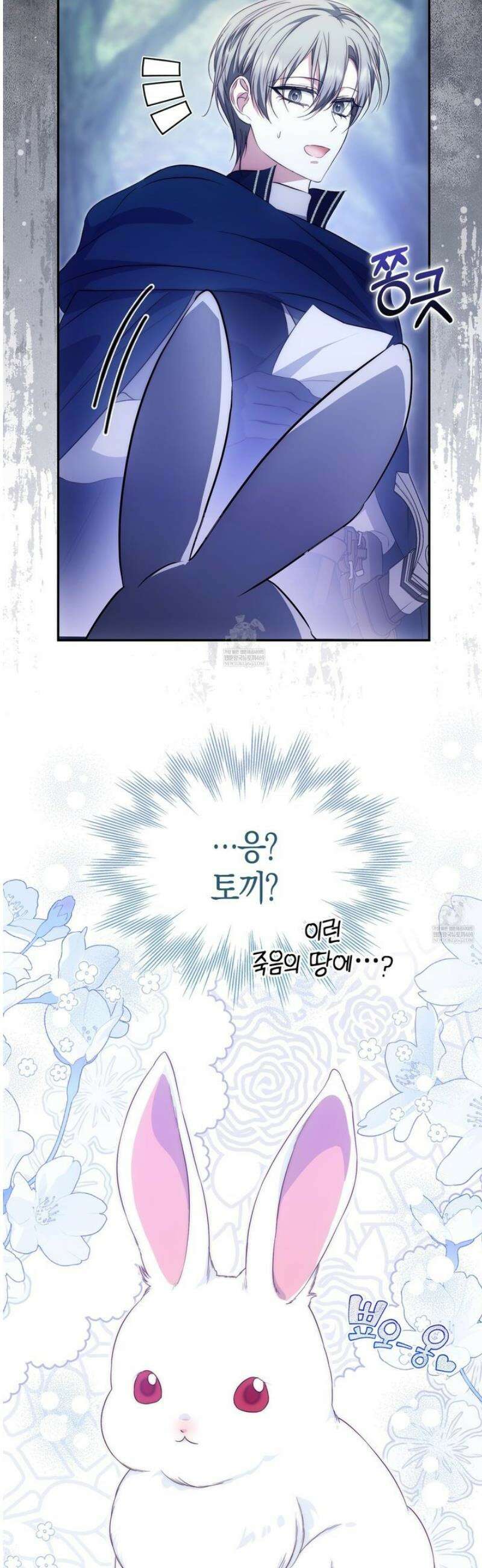 가짜 집착광공에게 집착하는 진짜들 35화 18