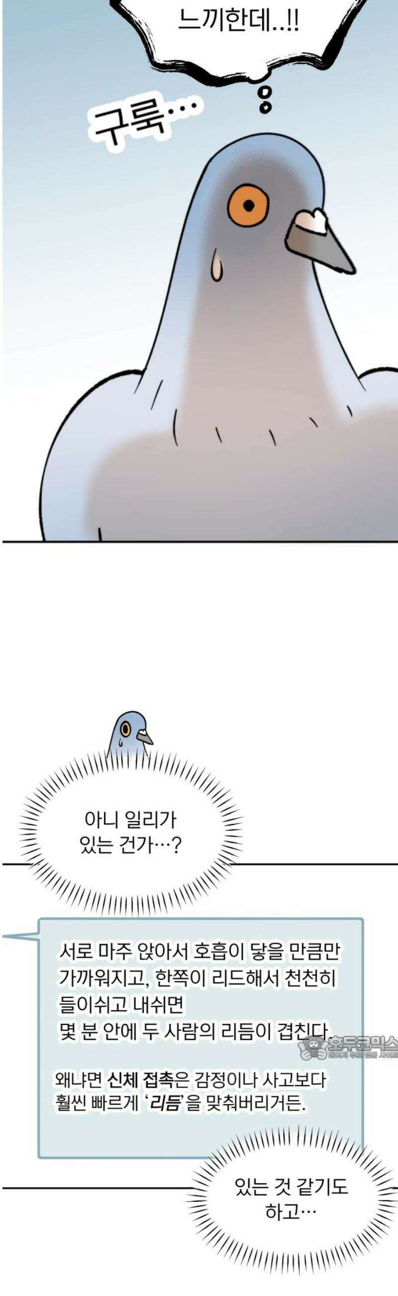 성북구 비둘기 이헌서 59화) 2