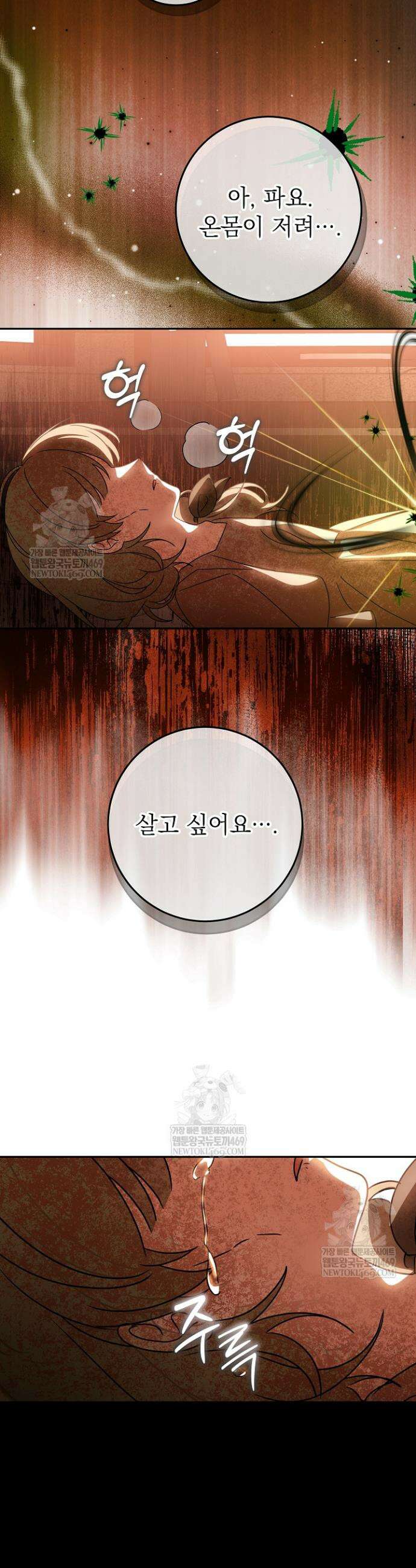 늑대 저택의 사랑받는 새아가 63화 8