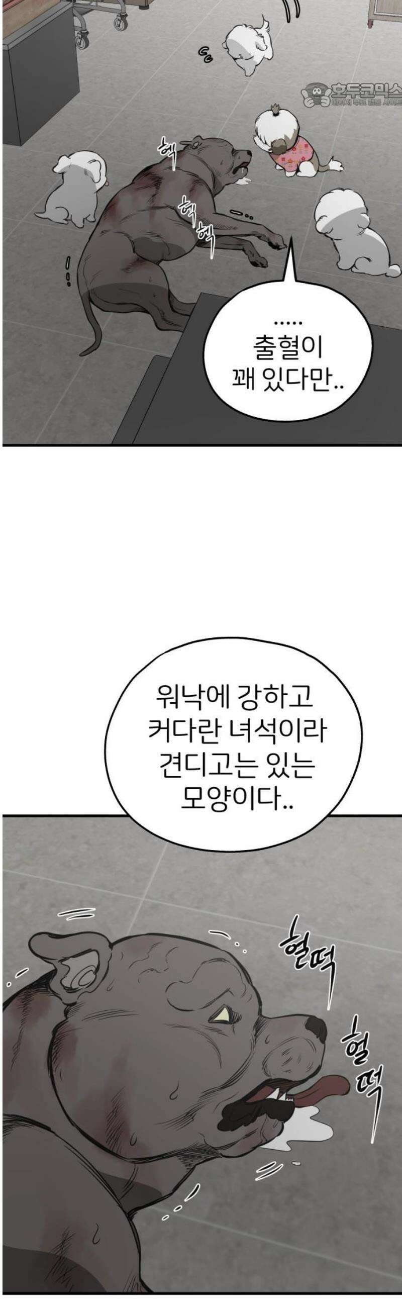 개같이 탈출 시즌2 4화 22